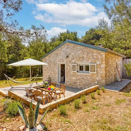 Eco House Casa Grigia Zabodarski - Happy