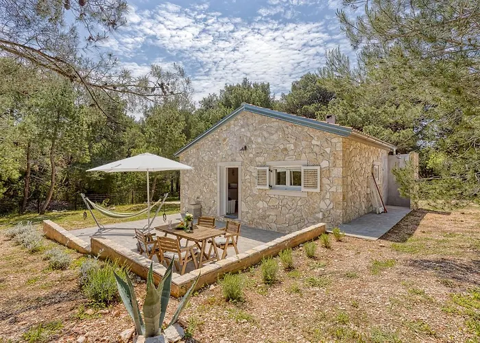 Eco House Casa Grigia Zabodarski - Happy