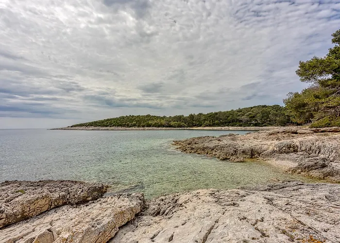 Dom wakacyjny Eco House Casa Grigia Zabodarski - Happy *